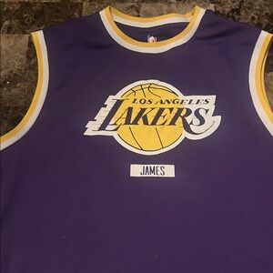 NBA Purple and Gold Los Angeles Lakers Jersey - James
